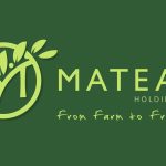 MATEAK HOLDINGS